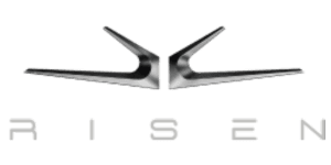 Logo Fly Risen