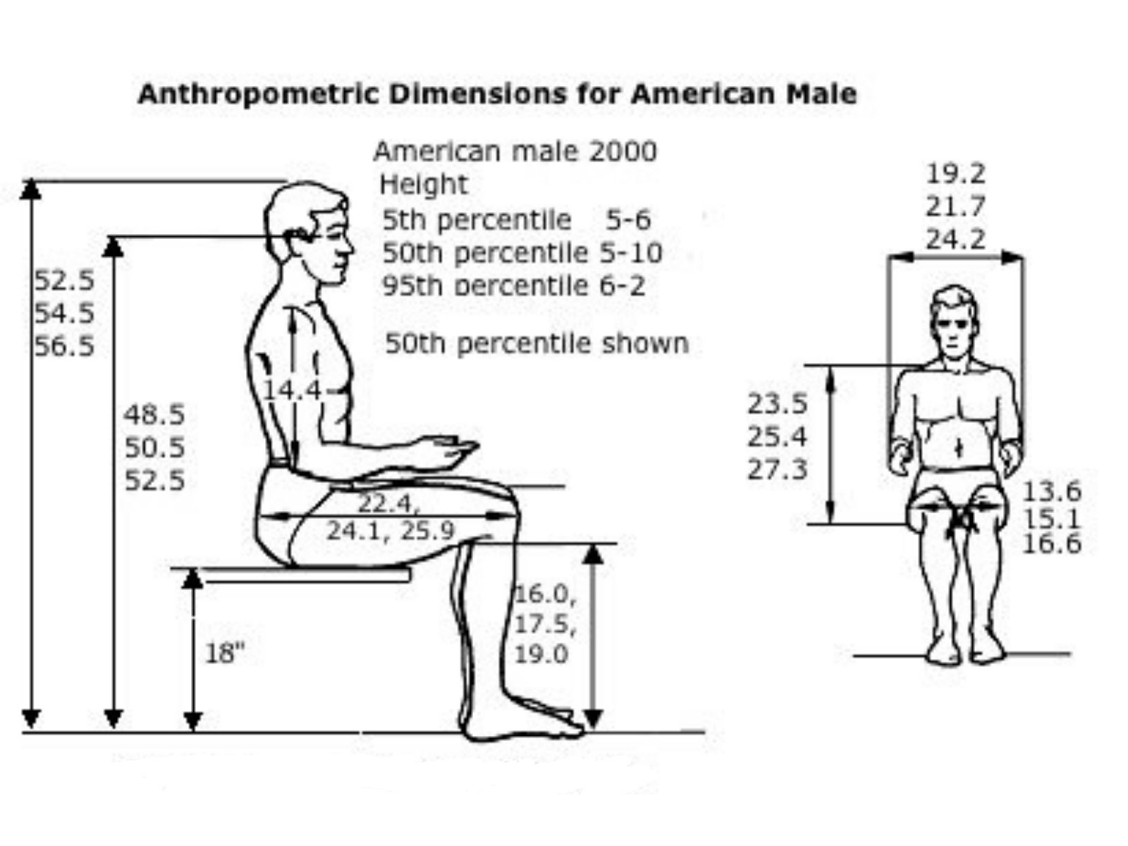 Image showing different measures for a human posture